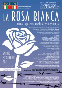 La rosa bianca – una spina nella memoria