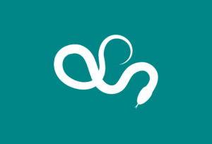 Serpenti, come comportarsi in caso di incontro