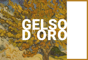 Gelso d’oro 2024 – I premiati