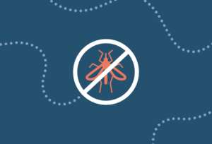 Disinfestazione straordinaria zanzare