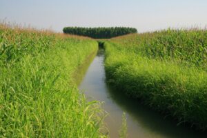 Elezioni CdA Consorzio di Bonifica Est Ticino Villoresi