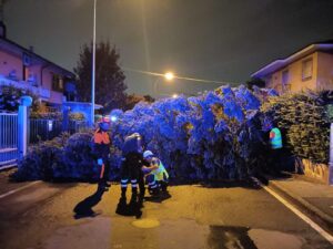 Segnalazione danni eventi atmosferici 21 e 24 luglio 2023